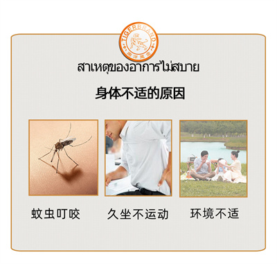 老虎膏50x3_05.jpg